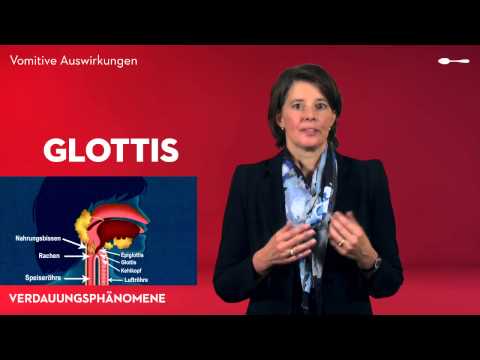 Das Verdauungssystem - Erbrechen