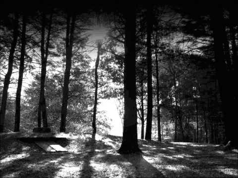 Myslovitz - The Iris sleeps under the snow