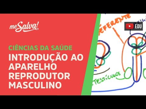Me Salva! SREP01 - Introdução ao Aparelho Reprodutor Masculino - Histologia Humana