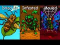 Why It Sucks To Be Born As An Insect