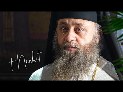 The Council of the Holy Prophet John the Baptist, sermon by Father Archimandrite Zenobia ✝ Nechit