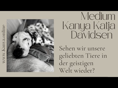 Verstorbene Tiere. Sehen wir sie wieder? Oder sind sie für immer von uns gegangen?