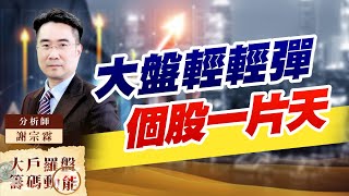 大盤輕輕彈 個股一片天