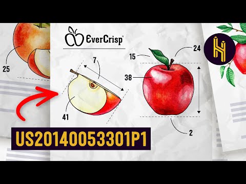 發明新蘋果的 19 年曆程 (The 19 Year Process of Inventing a New Apple)