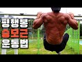 평행봉으로 보디빌더 승모근 근력을 키울 수 있는 방법?