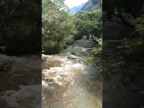entrada Manto de la birgen Gambita Santander.