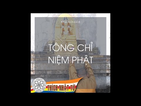 Tông chỉ niệm Phật - Thích Nhật Từ