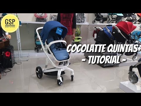 cocolatte quintas plus