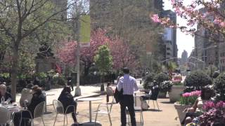 The Red Dress by Dorothy Parker