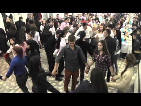 Majorat Andrei Sporea 2014/2.3