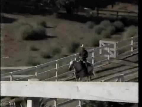 Bruce Boxleitner- Lifestyles