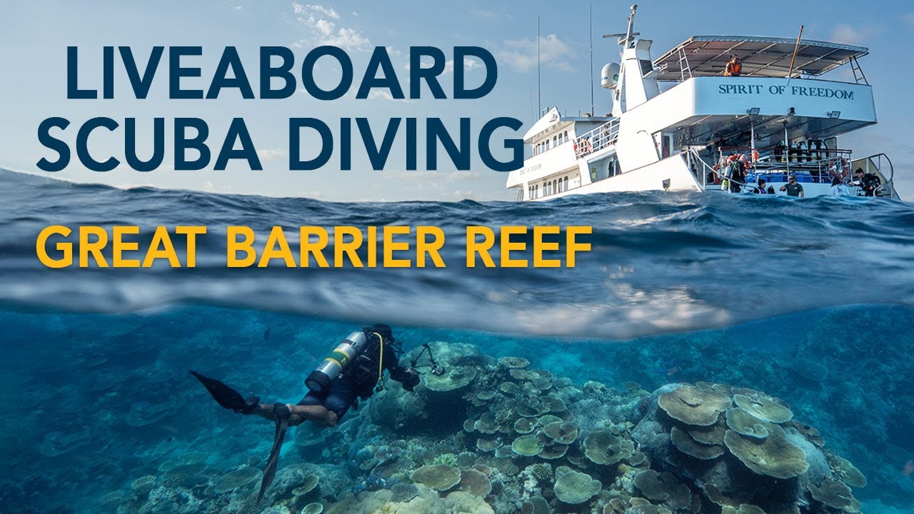 Spirit of Freedom - Dive Liveaboard video