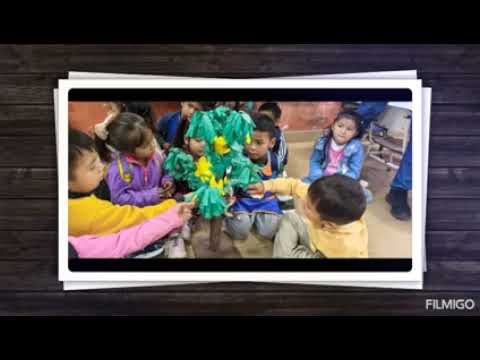 "FLOR DEL CARNAVAL" - TAPEREGUA. NIVEL INICIAL NÚCLEO N° 114- AGUARAY -SALTA 