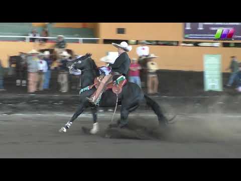 DLM278 080220 Bloque 2 - 15 XIV Caladero Amateur -AVC- Gran Final Luis González