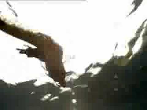 nile monitor vs small python