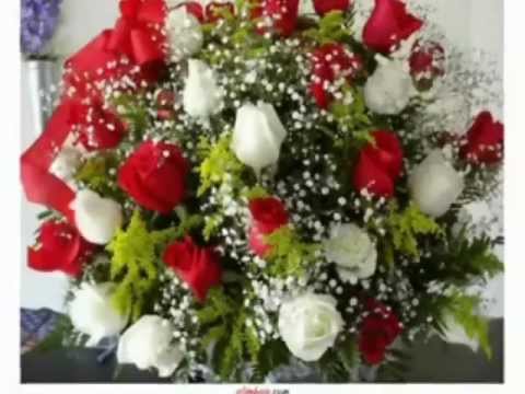 ŽAMETNE VRTNICE ZA ATOMO