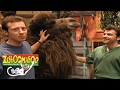 Zoboomafoo 138 The Four F S HD Full Episode