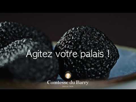 A trufa em todos os seus estados | Condessa du Barry