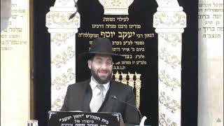 הרב משה יוסף • הלכות מחיית המן וקריאת המגילה בציבור