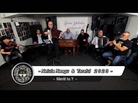 Neluta Neagu - Meriti tu ? - (Fulgerica, Cristinel, Bebe, Marius, Vali & Argintu viu)
