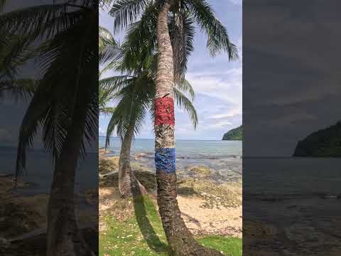 🏍️ ¡Nos fuimos de Medellín al paraíso! 🌊🇨🇴 | Necoclí, Sapzurro y La Miel #shorts   #viral