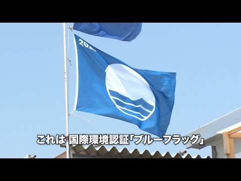 [Prefectura de Kanagawa] Playa de primera clase mundial Yuigahama: ¡un salvador azul ubicado lejos del mar, desarrollado por residentes locales en la prefectura de Kanagawa! ～｜Noticias de Innovación Social