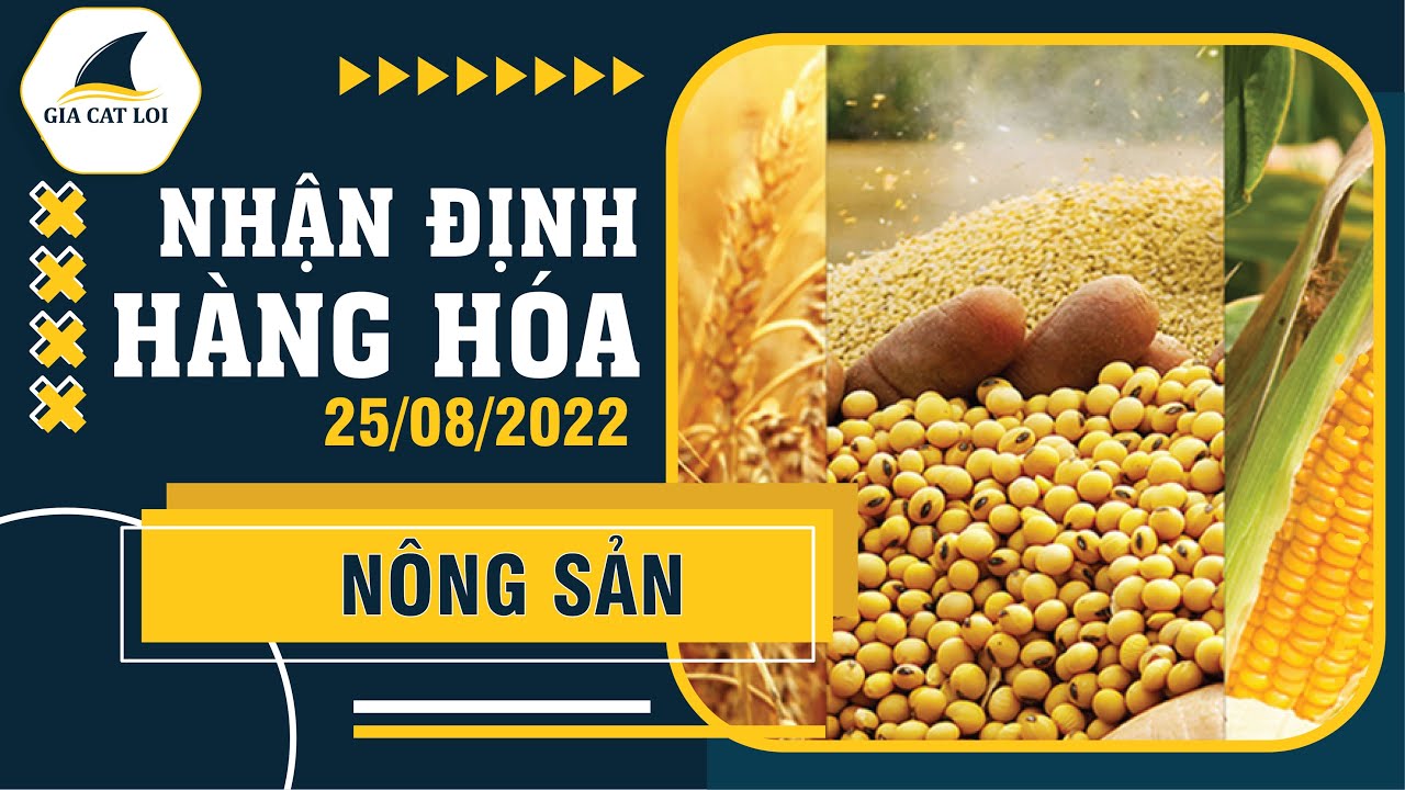 Nhận Định Thị Trường Nông Sản Ngày 25/08/2022