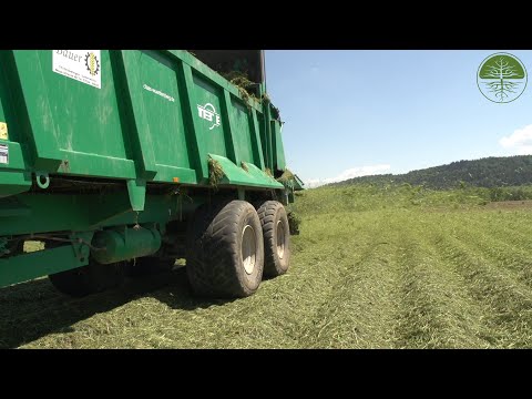 Regenerativer Kartoffelanbau | Mulchkartoffel | Unterer Berghof