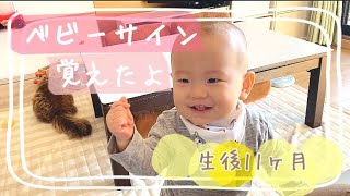 1ヵ月 4ヶ月 ワンオペお風呂の待たせ方 潜る練習の様子 一人で入れるナイトルーティン動画 One Month Old Baby Four Month Old Baby موقع ويب حيث يمكنك مشاهدة مقاطع فيديو موسيقية مجانية 1ヵ月 4ヶ月 ワンオペお風呂の待たせ方 潜る練習の様子 一人で入れるナイトルーティン動画 One Month Old Baby Four Month Old Baby موقع ويب حيث يمكنك مشاهدة مقاطع فيديو موسيقية مجانية