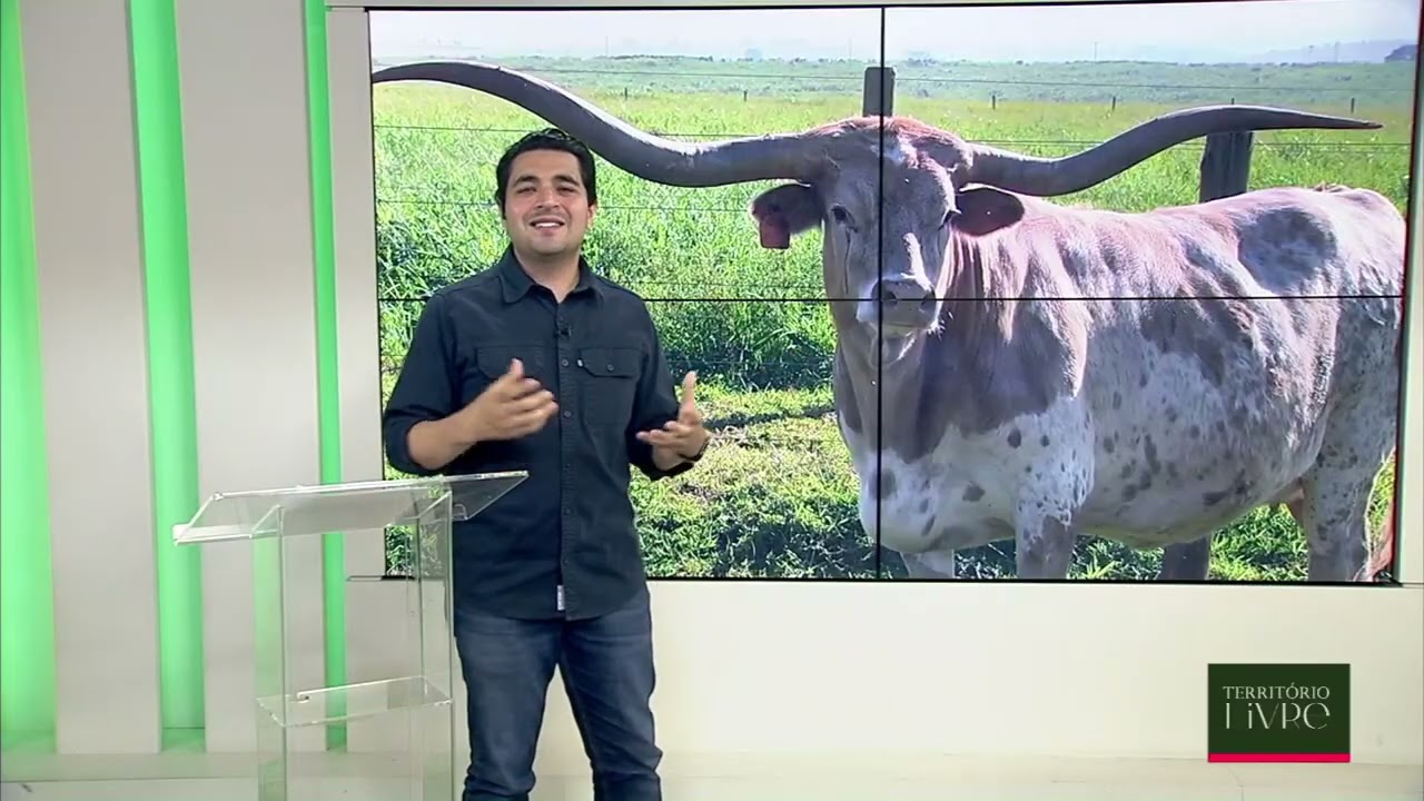 Íntegra Território Livre - 27/10/2026