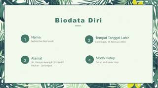 Download lagu Profil Nabila df mp3