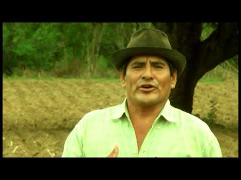 Antenor Silos - campesino madrugador