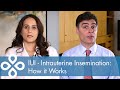 IUI - Intrauterine Insemination: How it Works