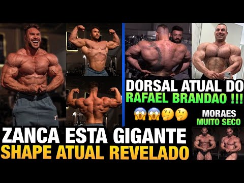 ZANCA ESTÁ GIGANTE - BRANDÃO DORSAL ATUAL NO OFF + MORAES E MUITO MAIS