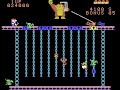 5563AR64OPD34S S Gameplay Donkey Kong Junior ColecoVision