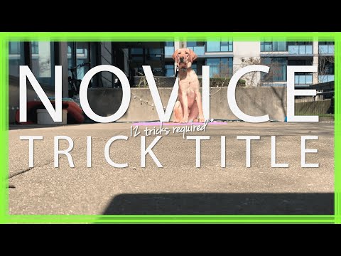 30 Dog Tricks by Jericho - Novice Trick Title