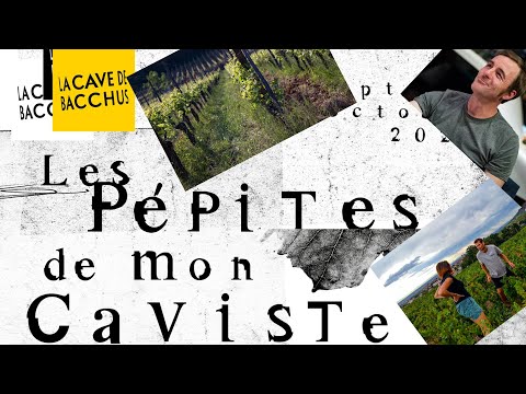 Les Pépites de mon Caviste - Laurent Barth et Domaine de la Bonne-Tonne