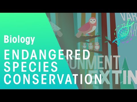 Endangered Species | Environment & Ecology | Biology | FuseSchool