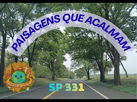 De São Carlos a Ibitinga: Estrada, Canaviais e o Charme do Interior de São Paulo