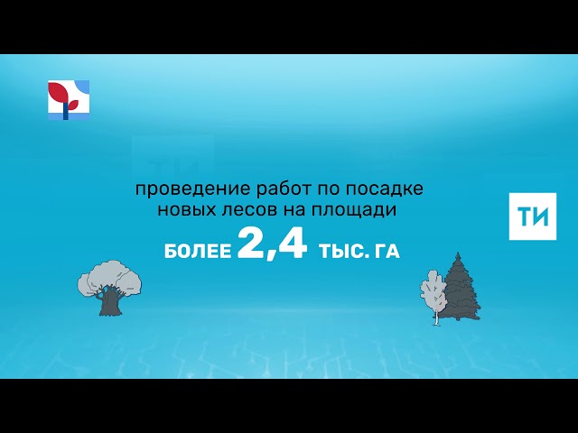 На сохранение лесов Татарстана по нацпроекту «Экология» направят почти 200 млн рублей