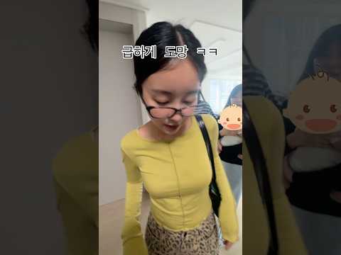 종이서방부부한테 설계당한 치와와 ㅋㅋ
