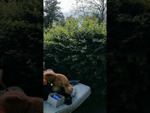 Zu Fuß am Erlenbach in Burgholzhausen am 5.8.2021