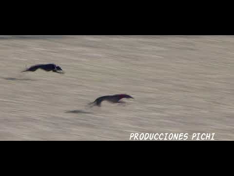 CARRERA SEMIFINAL 1 COPA IBERICA PRODUCCIONES PICHI