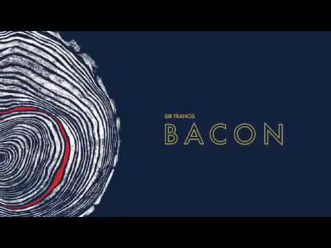 LINE 2018/2019 Sir Francis Bacon by Eric Pollard - An Everyday Ski for Fun on the Entire Mountain