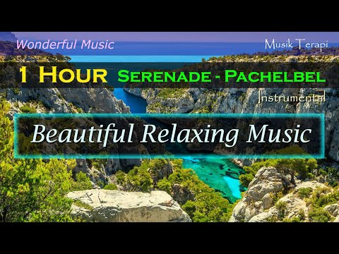 1 Hour Wonderful Relaxing Music (Classical) Serenade - Pachelbel || Vibes Music