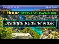 1 Hour Wonderful Relaxing Music Classical Serenade Pachelbel Vibes Music