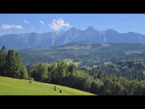 Przełęcz nad Łapszanką 4k.