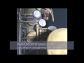 Transcribe This Lick #31 - Blues ii-V-I ala Gene Ammons - Saxophone Lessons