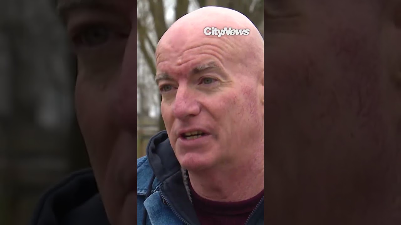 TikTok account of Canadian author cloned by suspected financial scammers