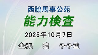 能力検査 2025年10月7日(火) 西脇馬事公苑